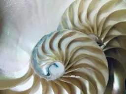 qu’est-ce que l’hypnose humaniste  différence hypnose humaniste et ericksonienne  hypnose humaniste bienfaits  hypnose humaniste confiance en soi  hypnose humaniste stress et anxiété