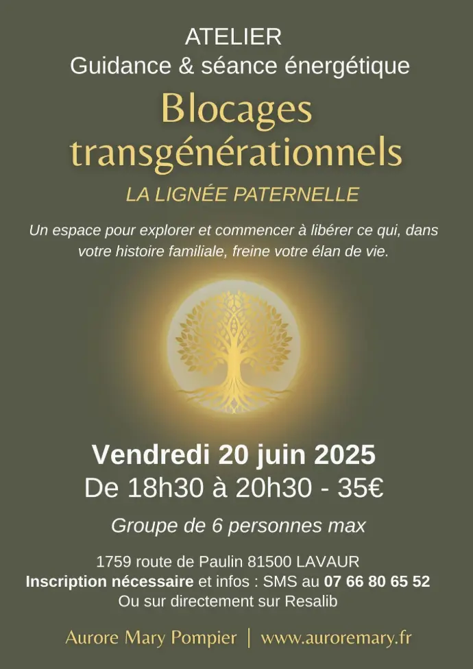atelier guidance soin énergétique transgénérationnel hypnostherapeute lavaur tarn énergéticienne blocages libération